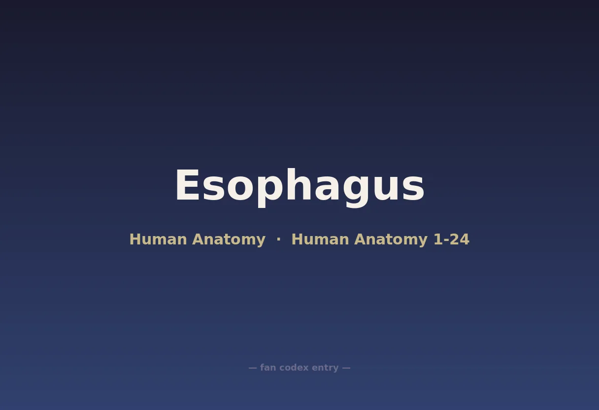 Esophagus