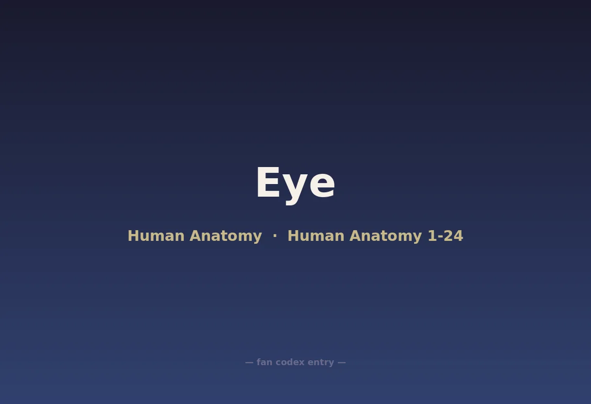 Eye