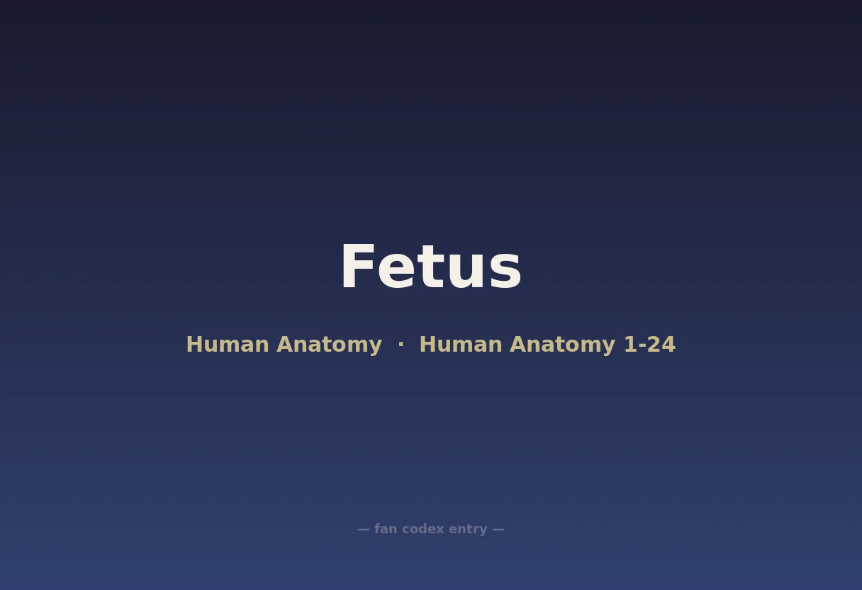 Fetus