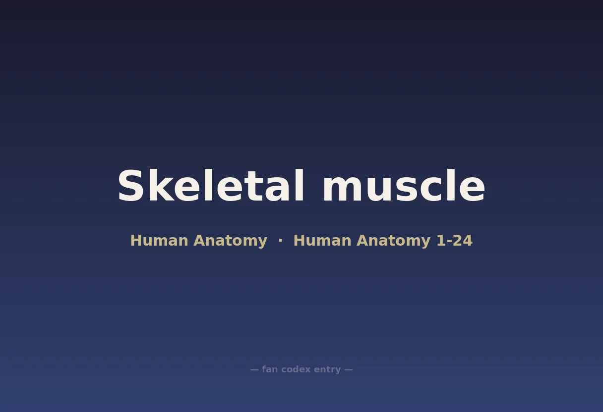 Skeletal muscle