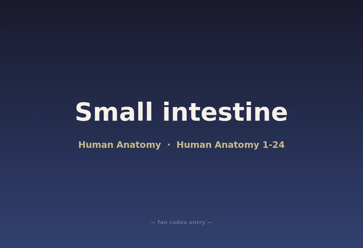 Small intestine