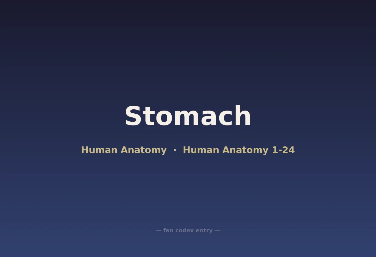 Stomach