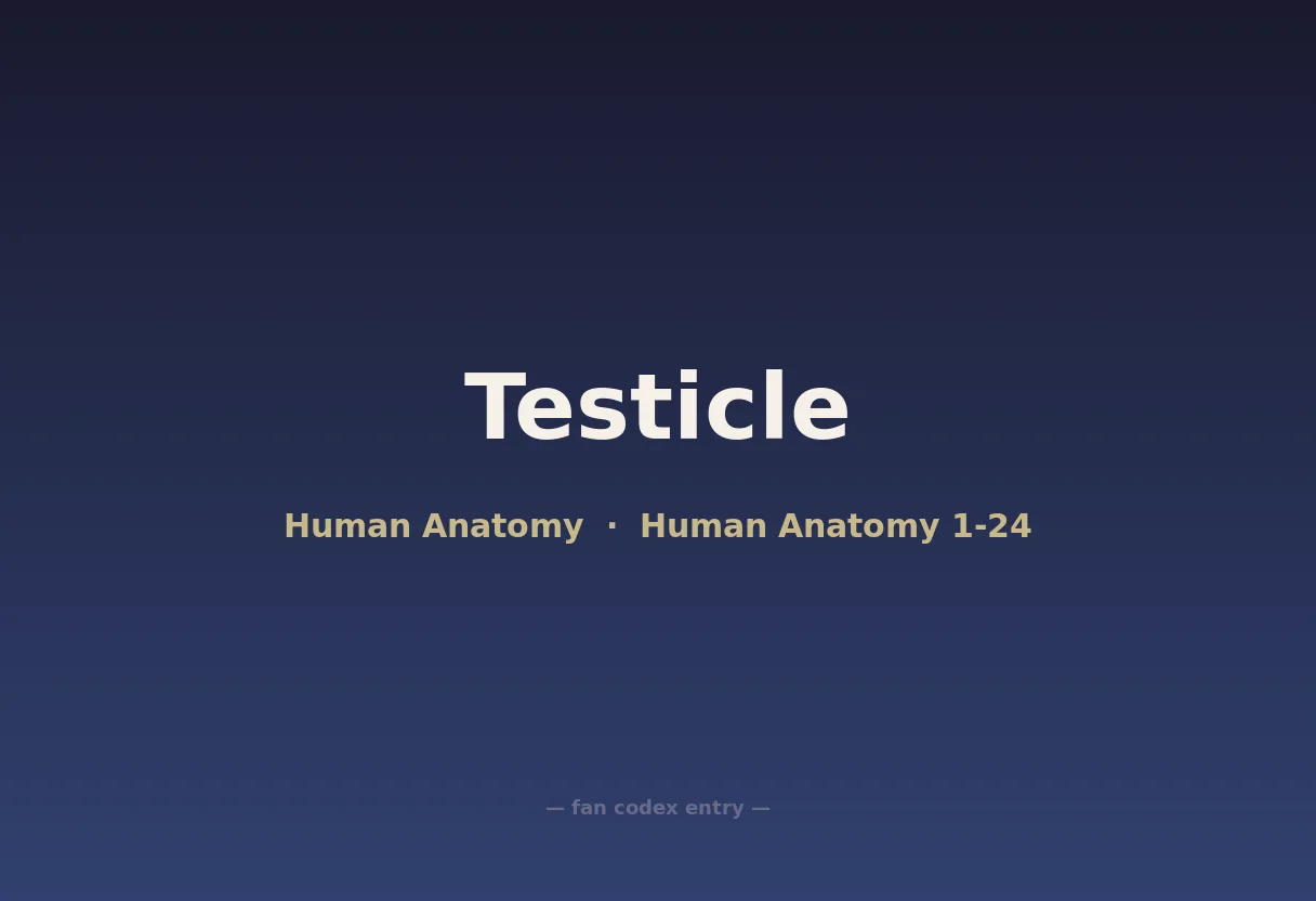 Testicle