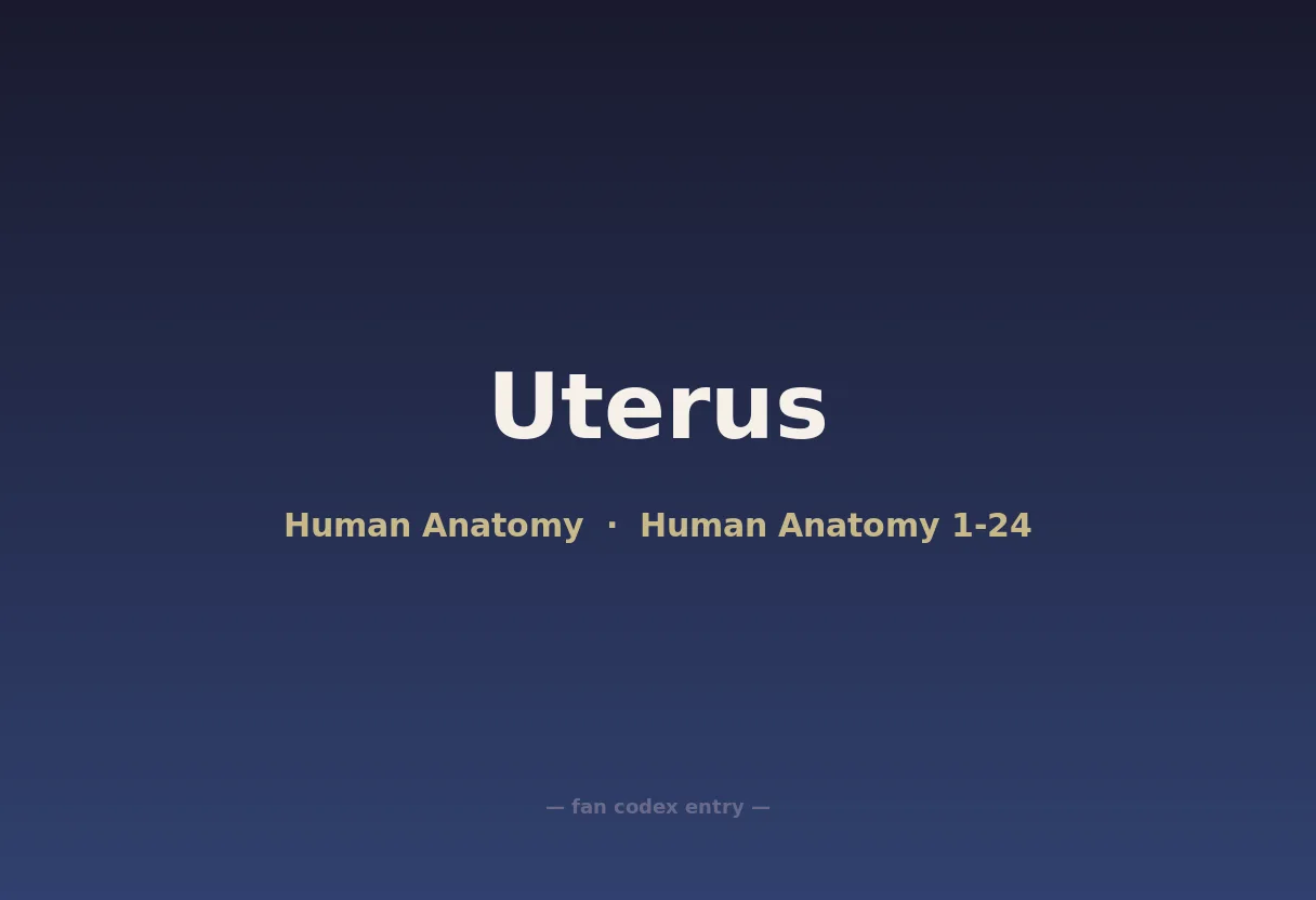Uterus