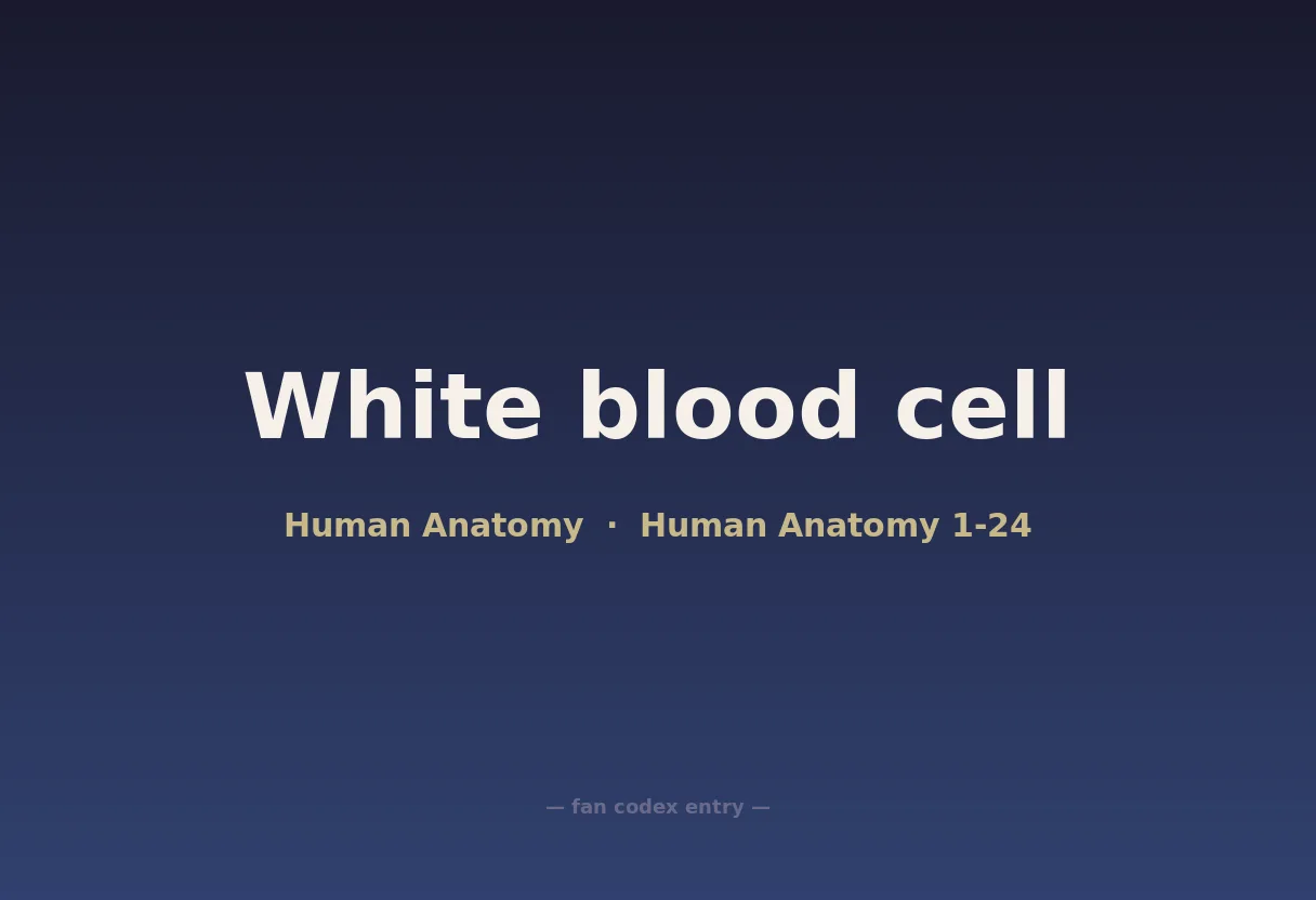 White blood cell