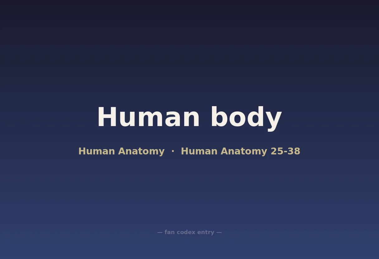 Human body