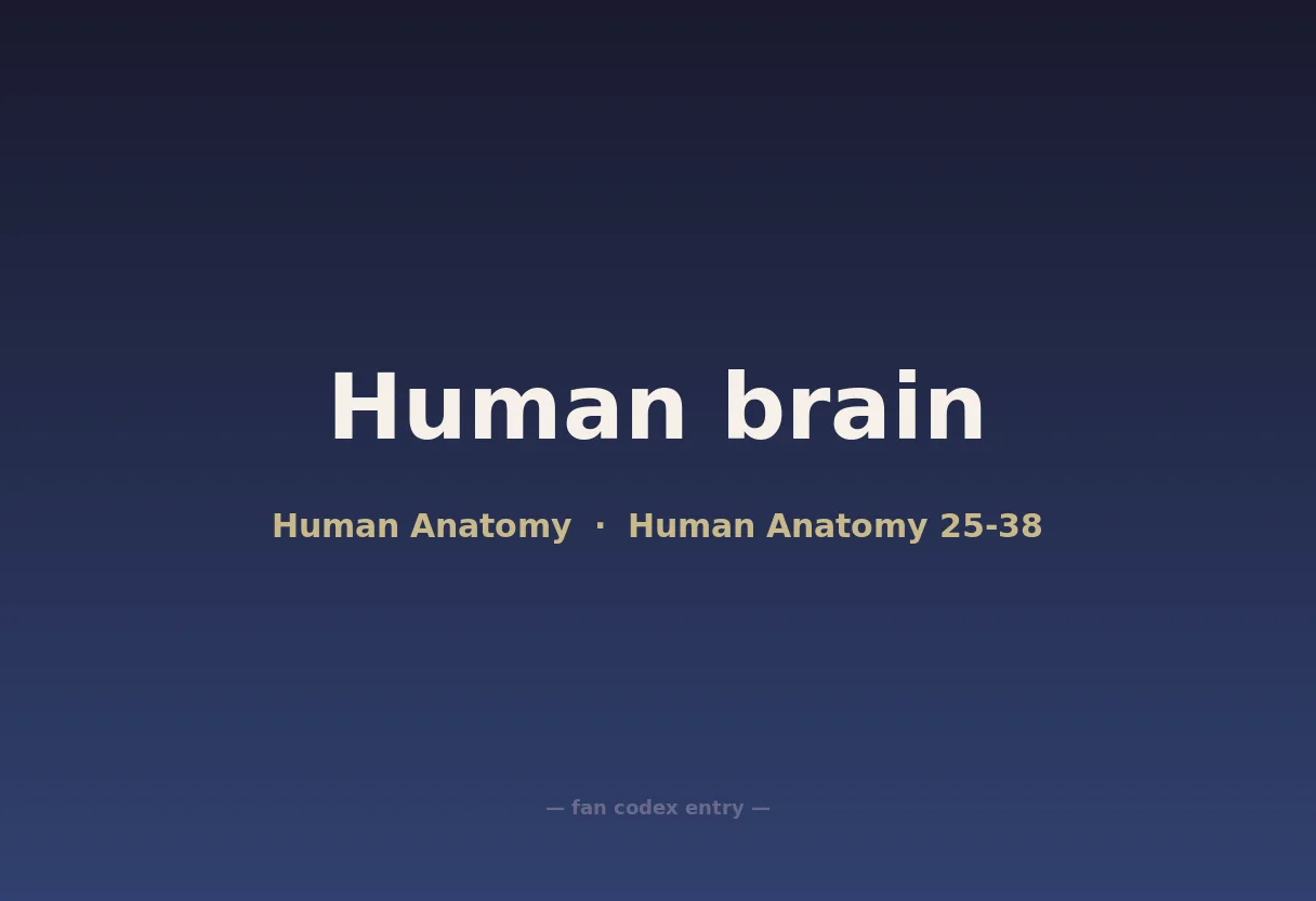 Human brain