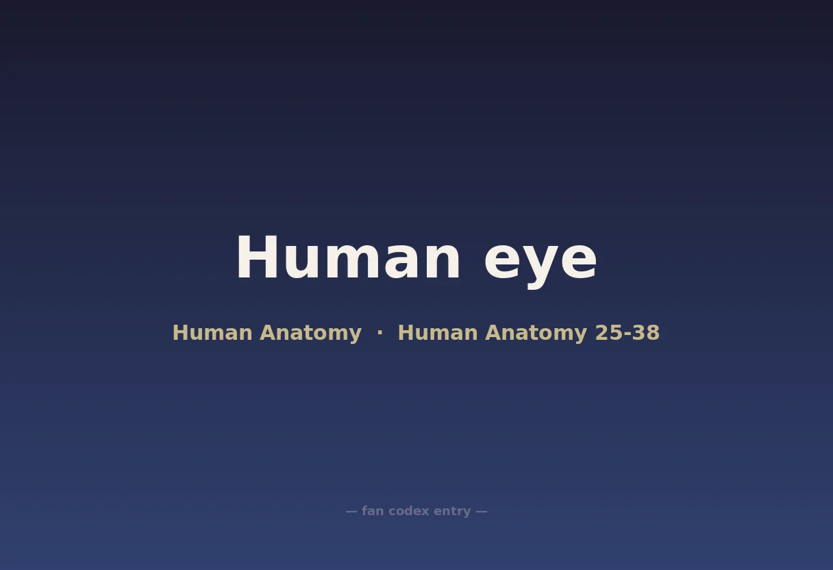 Human eye